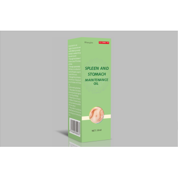 The spleen and stomach