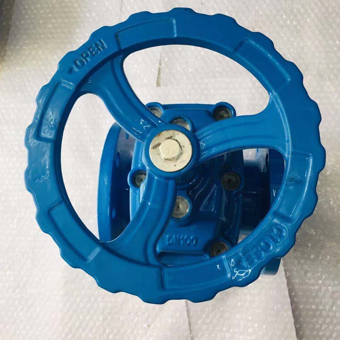 Soft seal blind rod gate valve (2)