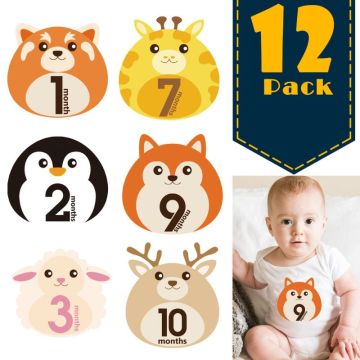 12 PCS/Set First Year Monthly Milestone Photo Sharing Newborn Baby Boy Girl Belly Stickers 1-12 Months for Photo Keepsakes