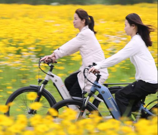 Best Cheap E Bike