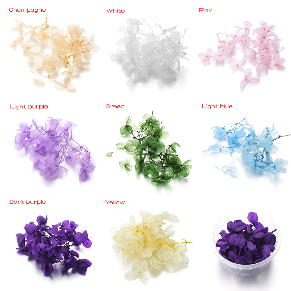 1Box Dry Flower DIY Epoxy Resin Handmade Crafts Filling Materials Filler Dried Flowers Time Stone Jewelry Making Desk Decor