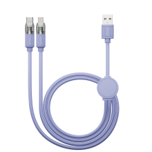USBType-C Lighting 2 in 1 Multi Data Cable