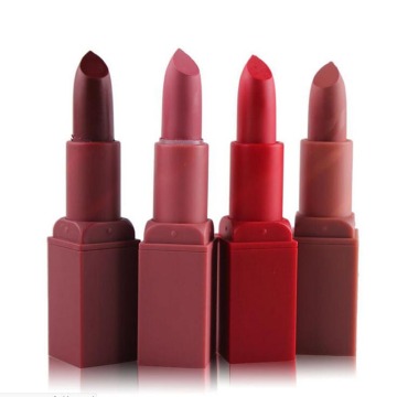 Fashion Color woman Sexy Red Lips Baton Matte Lip Stick Waterproof Long Lasting Makeup Pigment Brown Nude Matte Lipstick