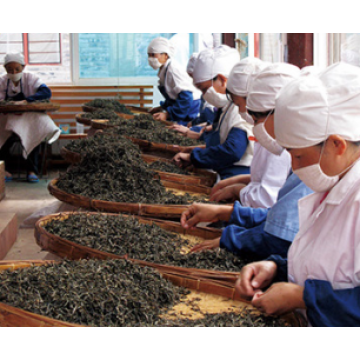 Premium Flavored Pu'er Tea Bags with Unique Taste