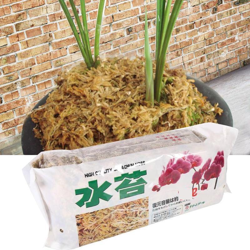 6L Sphagnum Moss Garden Supplies Moisturizing Nutrition Organic Fertilizer For Phalaenopsis Orchid