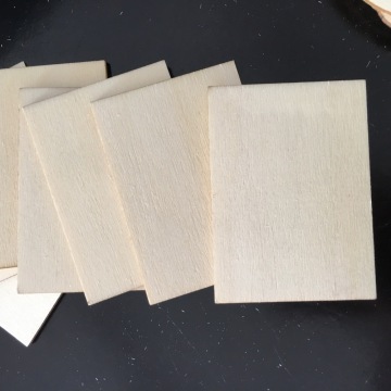 10pcs Blank Wood Square Plaque for Crafts Painting Wood Burning Engraving Machine Unfinished and Unpainted Wooden Cutout