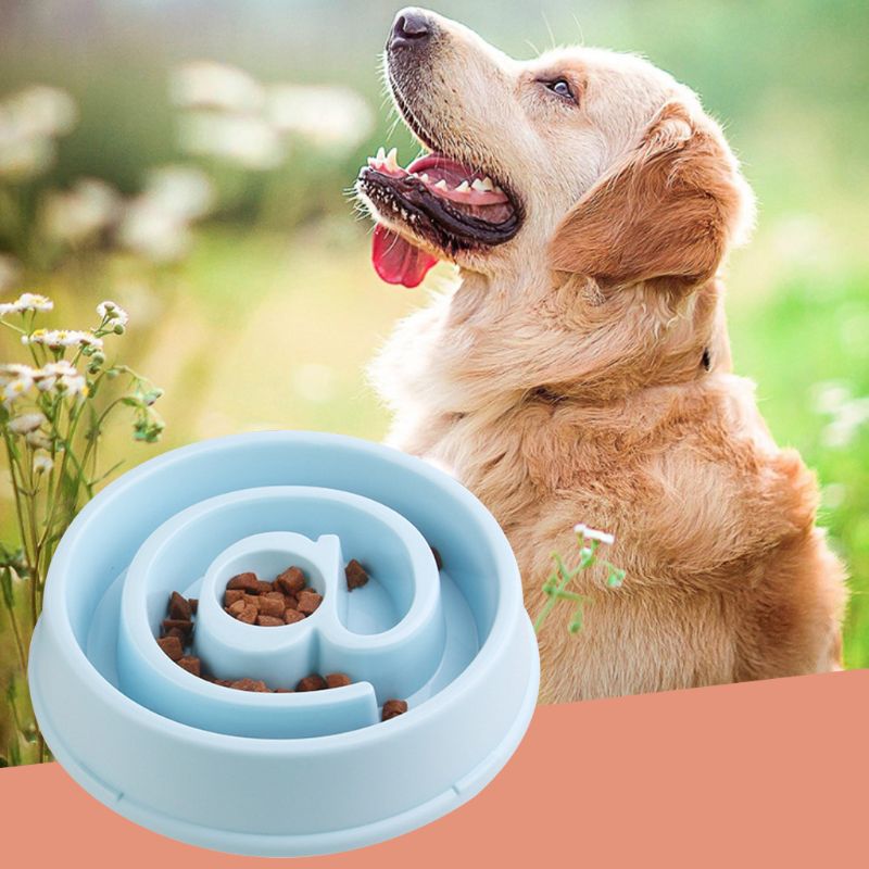 Pet Slow Feeder Pet Dog Slow Feeder Puzzle Bowl Non Slip Anti Bloat Eating Food Dish Dispenser