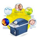 8L Mini Portable Cooling Warming Refrigerators Freezer Insulation Box Dual Use Cooler Warmer For Auto Car Outdoor Picnic