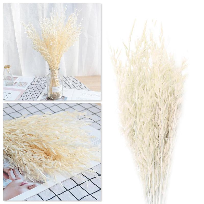 50pcs Natural Plant Colored Oat Dried Flower Hay Bouquet Modern Wedding Ceremony Decoration Home Flower Decoration S5Z4