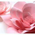 Window large pearlescent cardboard flower three-dimensional handmade flower finished rose wedding wedding background simulation