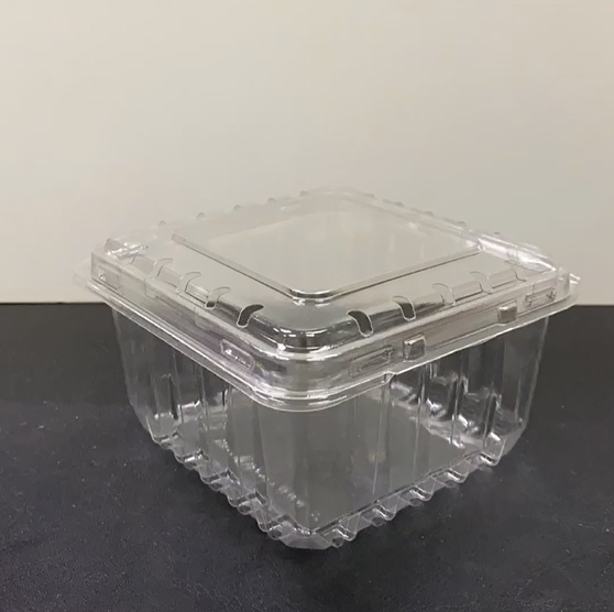 Blueberry Fruit Container with Holes