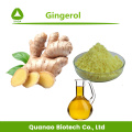 Gingerol Oil 50% Ginger Root Extract Hair Growth