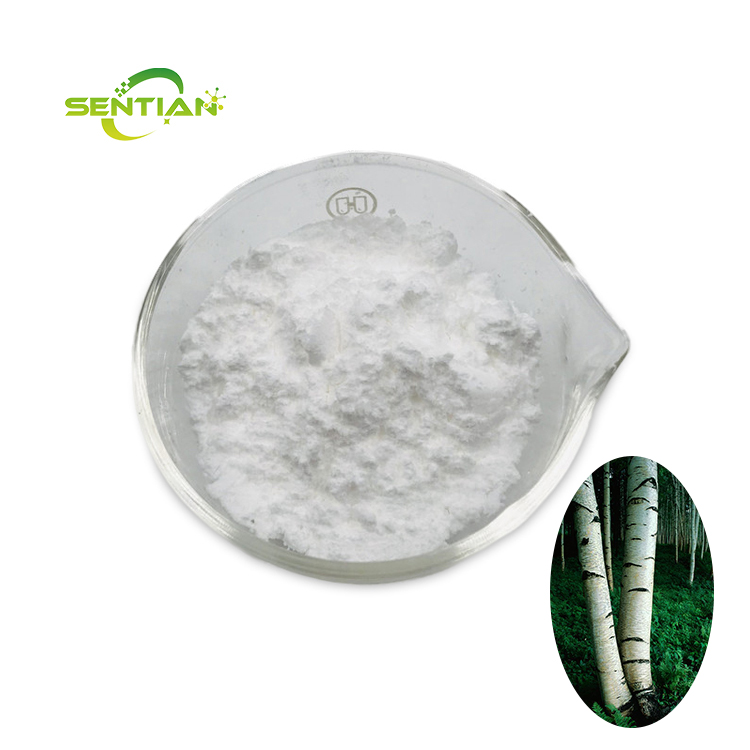 Betulinic Acid (2)