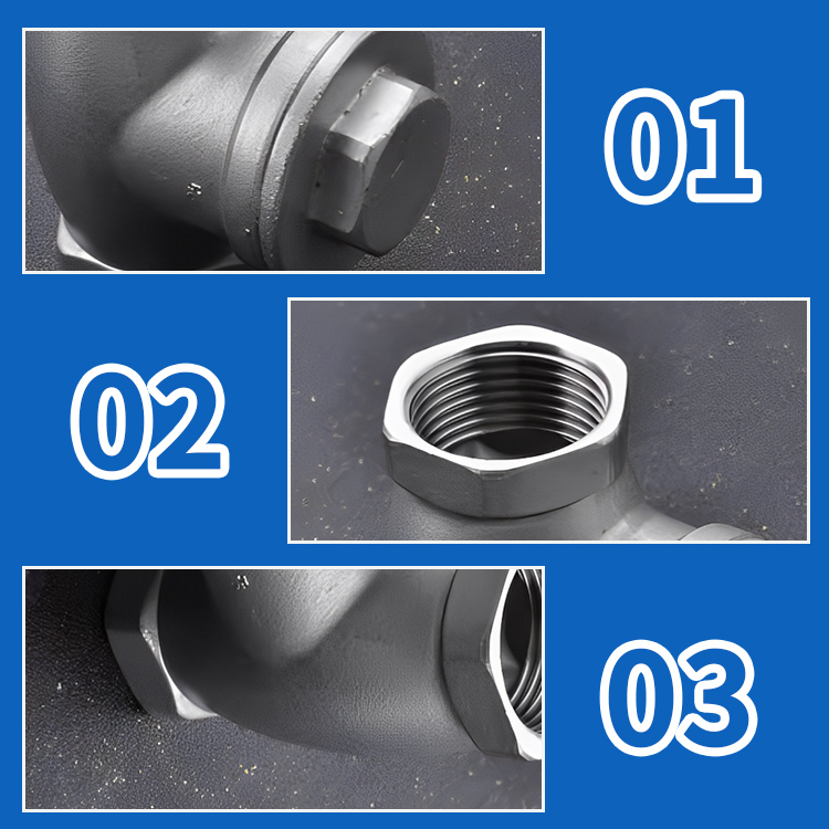 Stainless Steel Threaded Check Valve