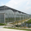 Agricultural Poly Multi-Span Arch PC Greenhouse