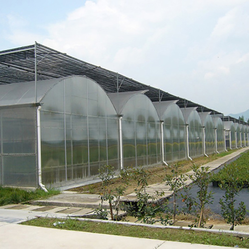 Agricultural Poly Multi-Span Arch PC Greenhouse Manufacturers and Agricultural Poly Multi-Span Arch PC Greenhouse Suppliers