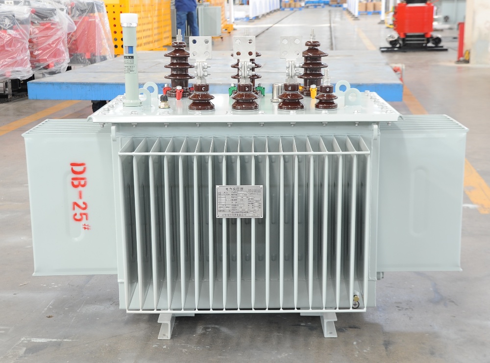 100kVA/125kVA 10 KV Oil Immersed Transformer