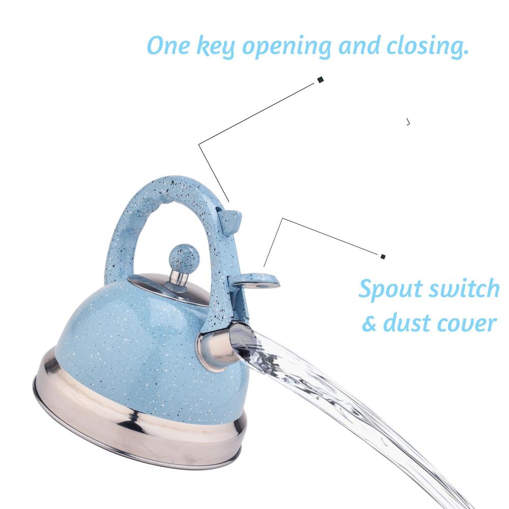 Sky Blue Mirror Stainless Steel Whistling Tea Kettle