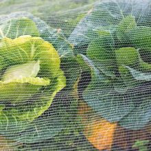 Customized farm insect net