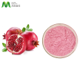 High Quality Assurance Pomegranate Juice Powder