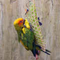 New Misterolina Grass Pet Bird Parrot Swing Cage Toy Foraging Toys Chew Bites For Parakeet Cockatiel Swing Cages Playing Toy