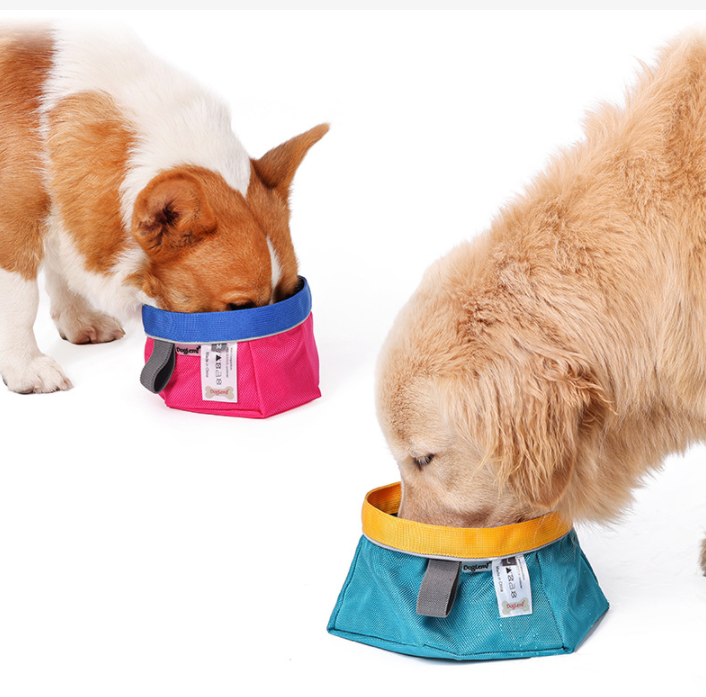 Dog Bowl
