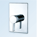 Chrome Concealed Shower Mixer ○