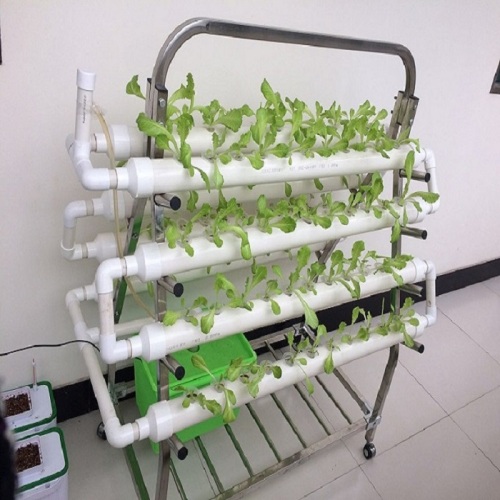 Indoor Grow Kit NFT Hydroponic System Manufacturers and Indoor Grow Kit NFT Hydroponic System Suppliers