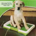 Plastic Products Mobile Cleanliness Environmentally Friendly Three-layer Lawn ABS Material New Large Flat Dog Pet Toilet
