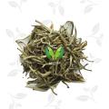 Fujian Bao Hao Jasmine Neddel Green tea