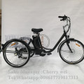 6 Speed 250W Motor Adult Electric Tricycle Pedicab Bike With a Basket for Shopping Hot Sale in European