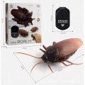 9916 cockroach