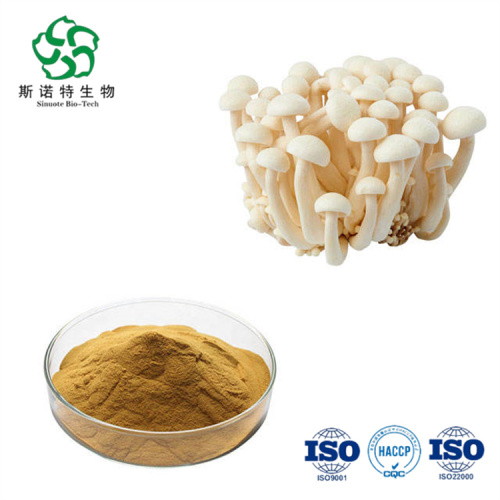 Pure Natual White Beech Mushroom Extract for Sale, Offer Pure Natual White Beech Mushroom Extract