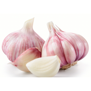 large wholesale high quality purple garlic white garlic