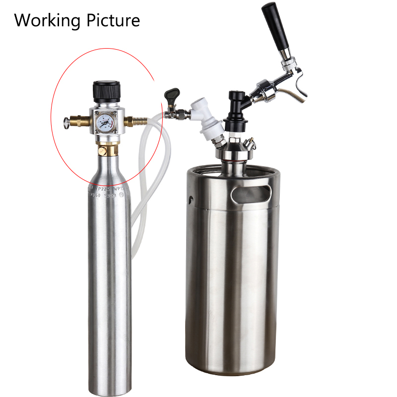 Carbonation Beer Gas Line Assembly,Soda Water 0-90 PSI Gauge CO2 Regulator & PVC Tube & Ball Lock Type Homebrew Beer Wine Making