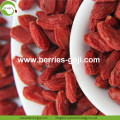 Buy Natural Nutrition Dried Fruit Chinese Wolfberry
