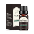 Private label OEM custom 10ml essential oil for body comfort Relax body Lavender Tea Tree Peppermint Massage Oil