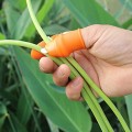 Vegetable Picking Potted Trim Silicone Thumb Knife Set Knife Finger Protector Thumb Trim Silicone Thumb Knife Garden Tools