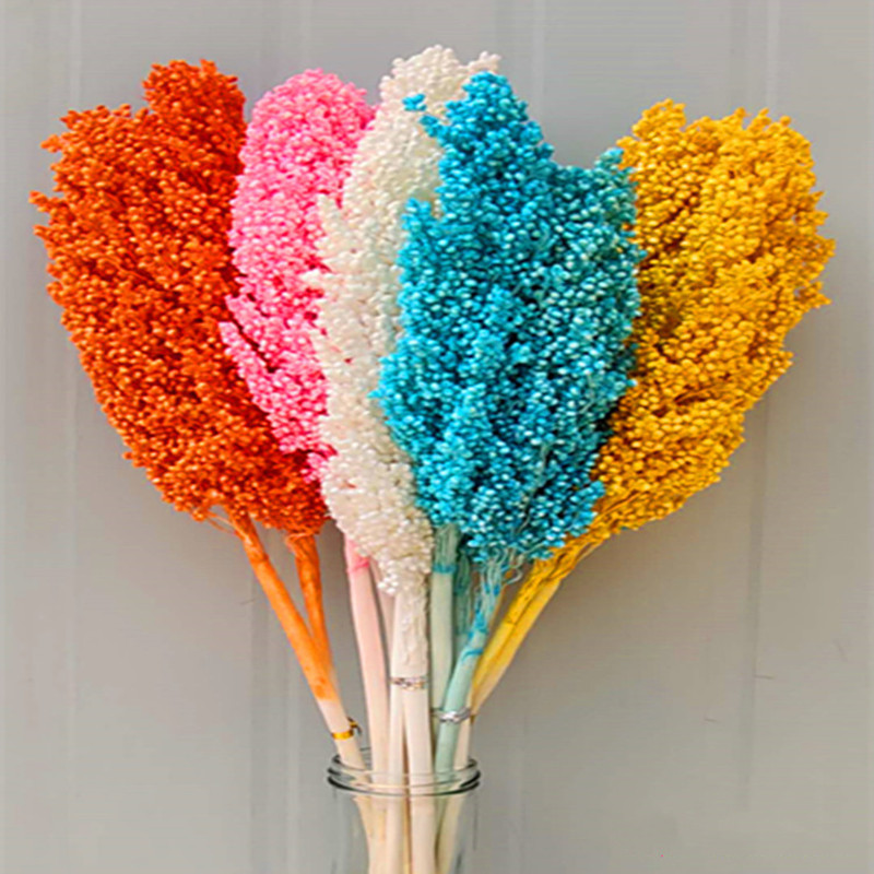 About 50cm Natural Dried Flowers Bouquet Sorghum Ear Home Living Room Wedding Party Decoration Preserved Spike Shooting Props