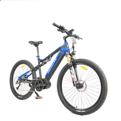 Mountain Electric Bike with Wide Tires Manufacturer Mountain Electric Bike with Wide Tires from China