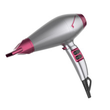Ionic and Induction Function Professional blow Hair dryer