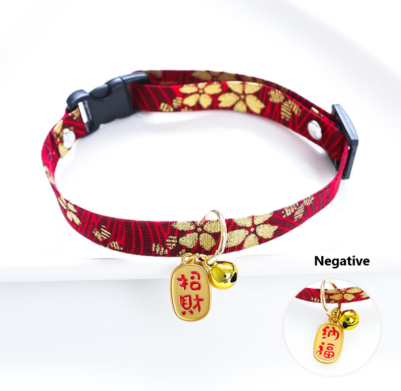 Pet Collar Camera Wifi