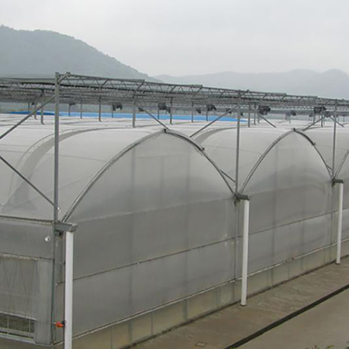 Large Plactic Greenhouse For Vegetable Flowers Manufacturers and Large Plactic Greenhouse For Vegetable Flowers Suppliers