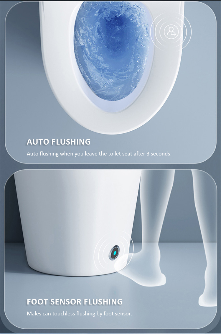 automatic flushing bidet toilet