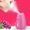 Facial Steamer Nano Ionic Warm Mist Facial Steamer Personal Sauna SPA Quality Salon face Moisturizing Sprayer Skin Care Machine
