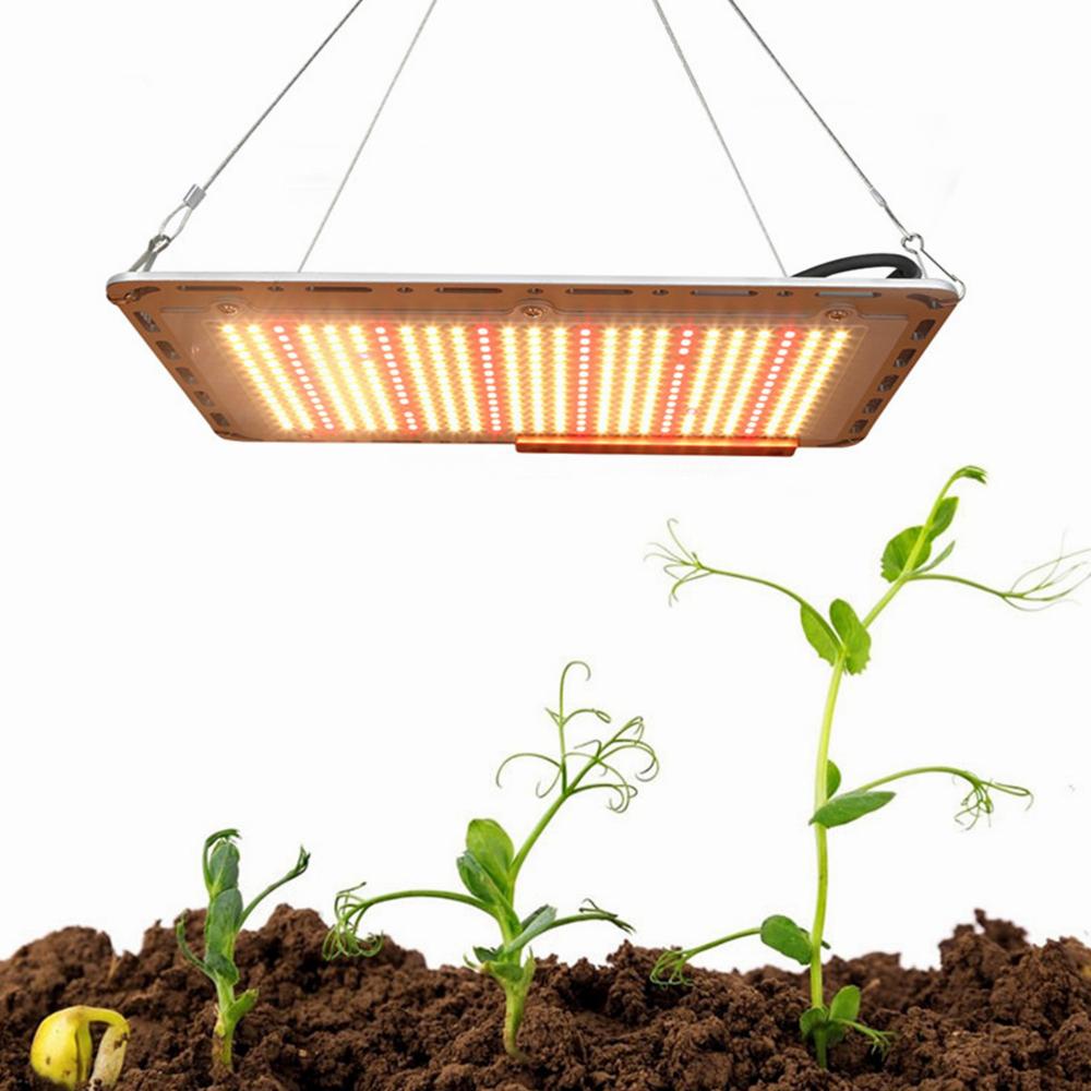 Grow Lamps Led