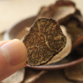 Organic high-quality black truffle/Yang-boosting, regulating endocrine/preventing Alzheimer's disease/hei song Lu