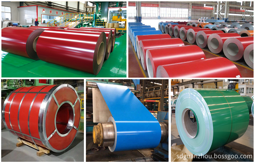 Prepainted Steel Coil