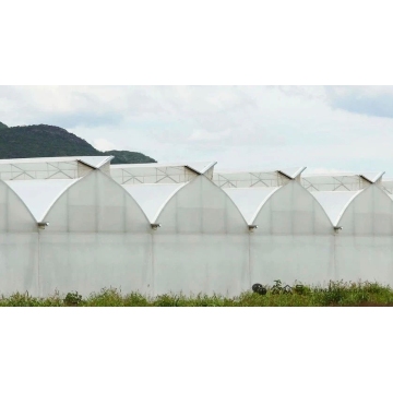 Double Layer Inflatable Film Multi span Greenhouse