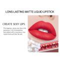 6 Colors/Set Fashion Lip Gloss Sets Natural Moisturize Waterproof Velvet Liquid Lipstick Gift Box Exquisite Lip Makeup TSLM1